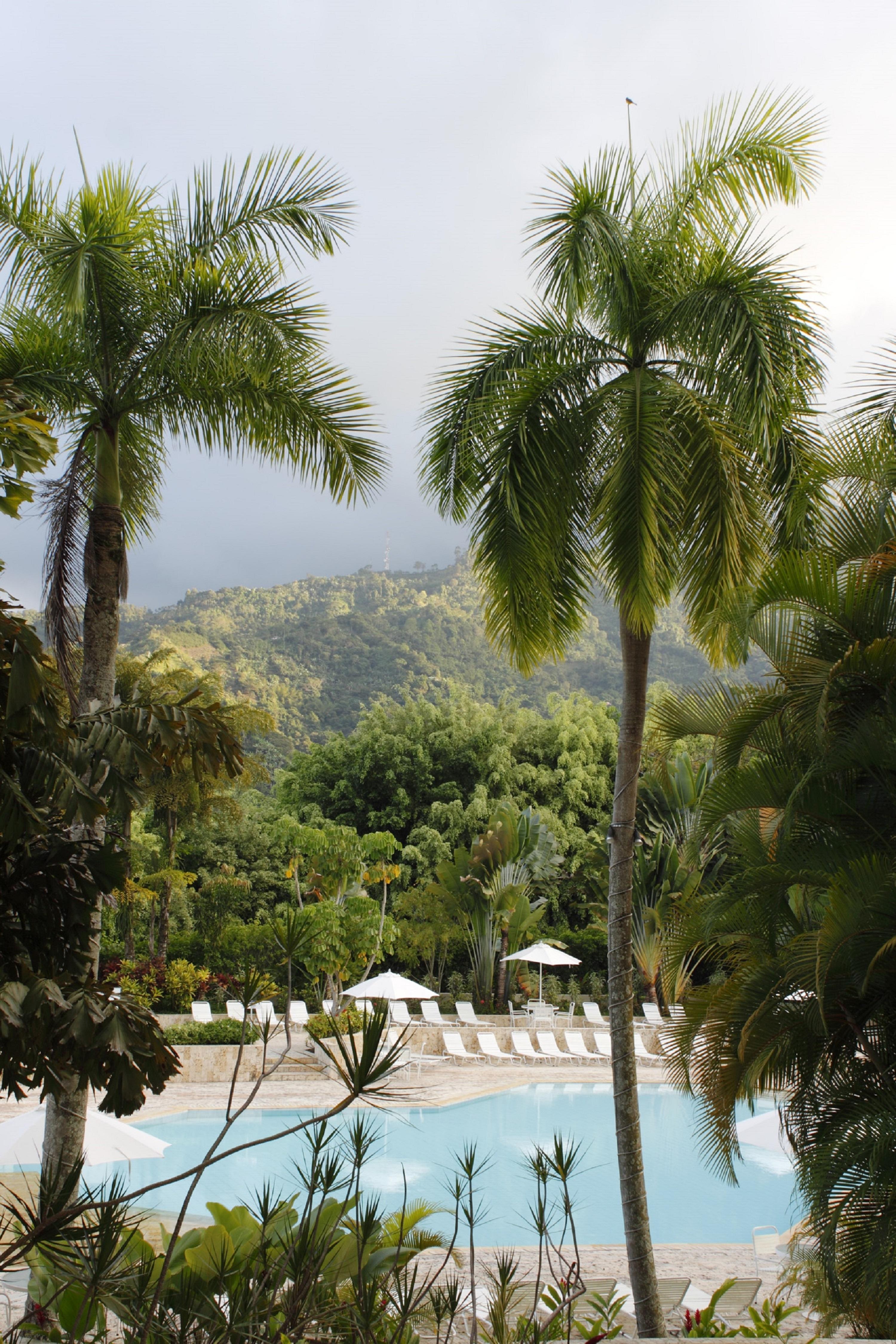 Hotel Estelar Altamira Ibagué Exteriér fotografie Tropical rainforest in Hawaii